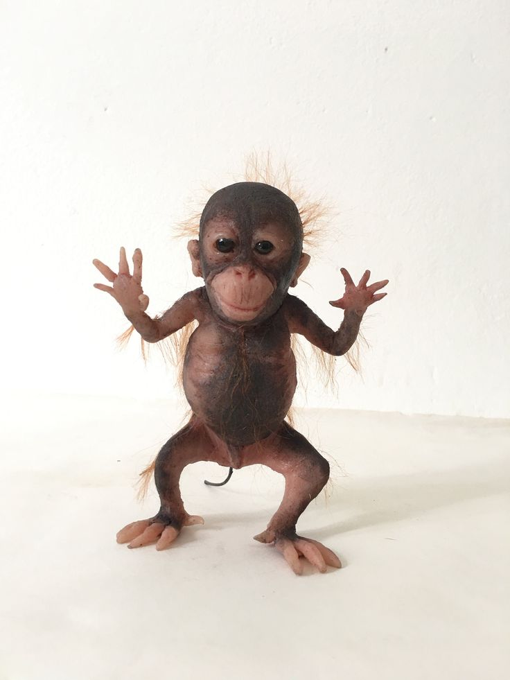 a small monkey standing on its hind legs with one hand up and the other in the air