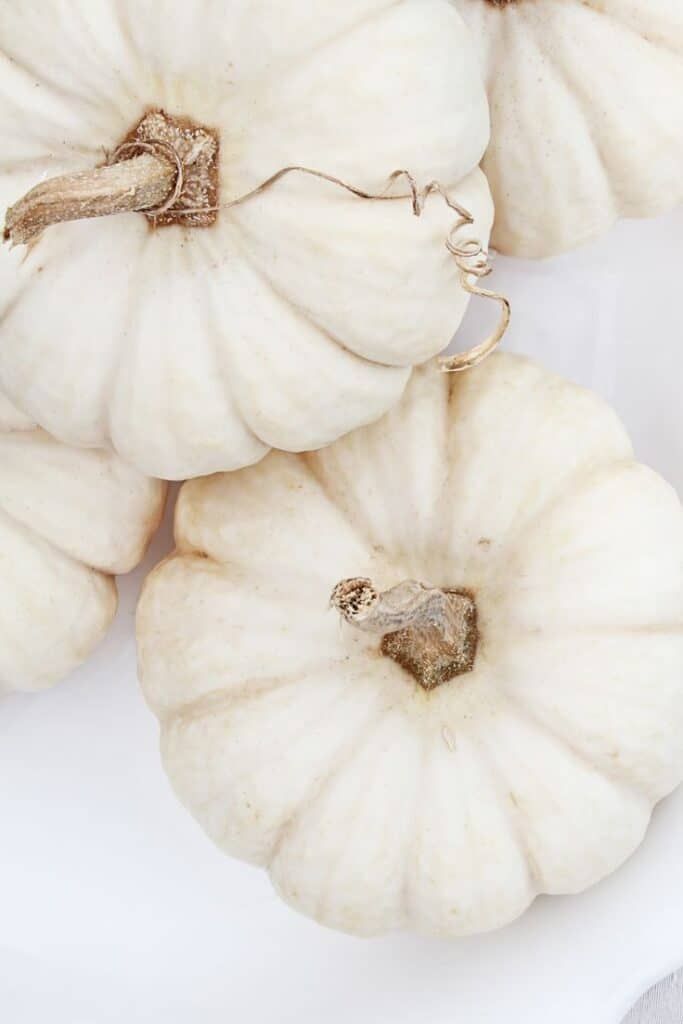 three white pumpkins sitting next to each other