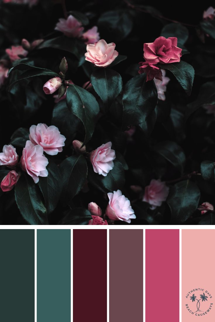 pink and green flowers are in the center of a color palette with red, purple, and teal hues