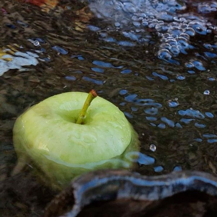 an apple that is sitting in the water