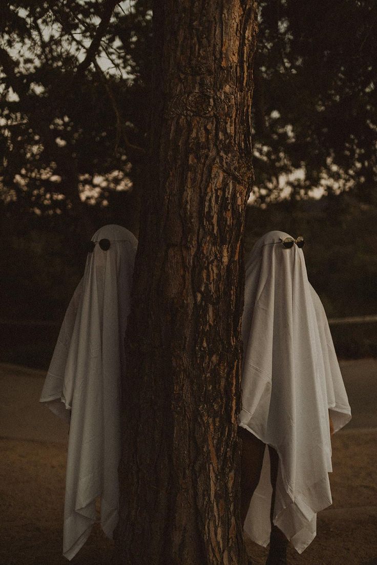 two ghost heads hanging from the side of a tree