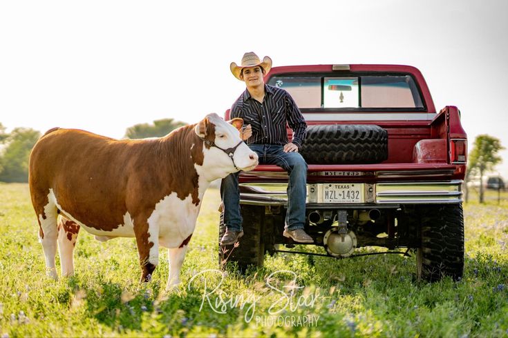 a man sitting on the back of a red truck next to a brown and white cow