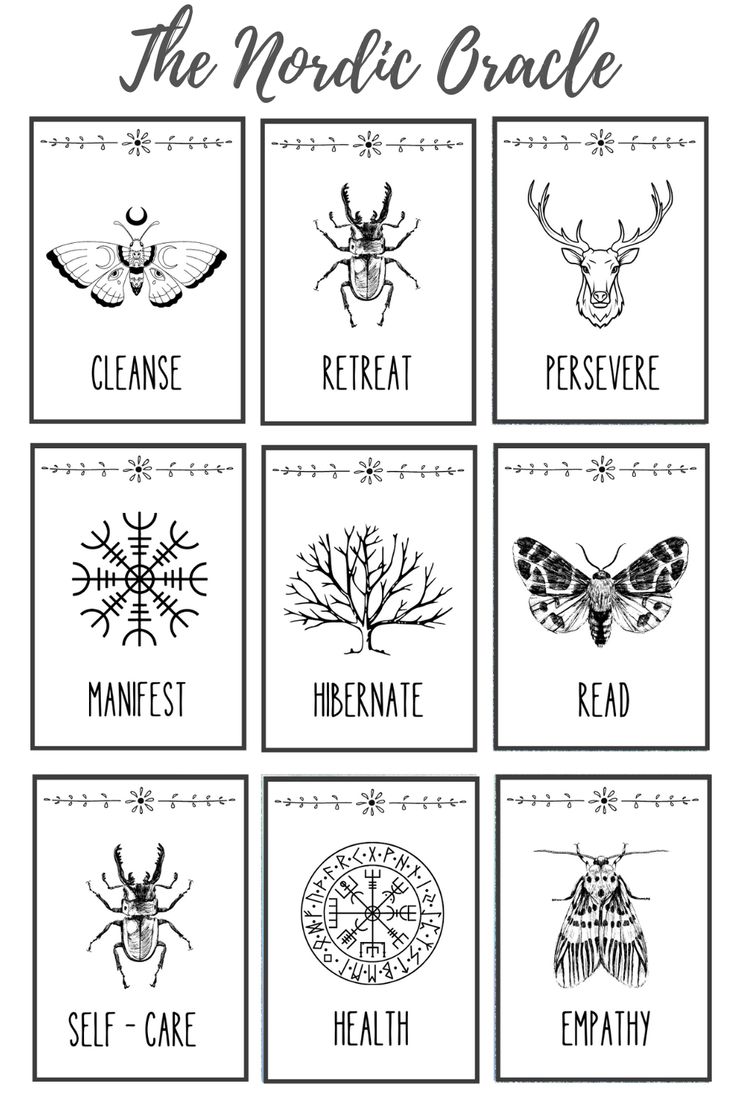 the nordic oraclel with eight different types of animals and insects in black and white