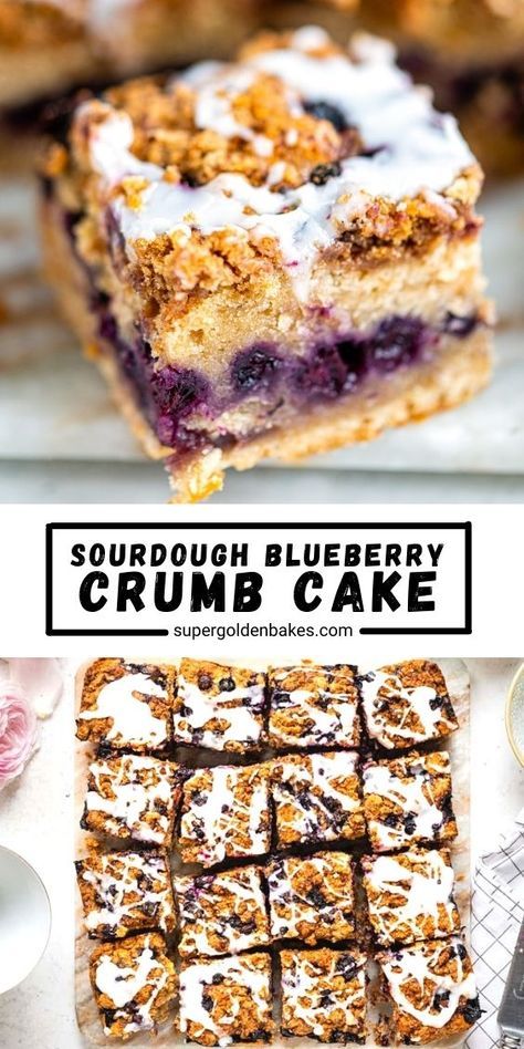 blueberry crumb cake on a plate with the words sourdough blueberry crumb cake above it