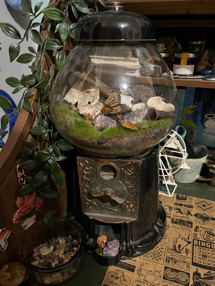 a fish bowl filled with rocks and plants