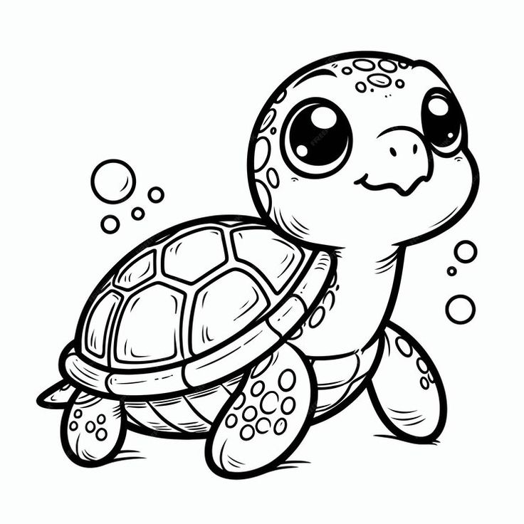 a cute little turtle with bubbles on it's back