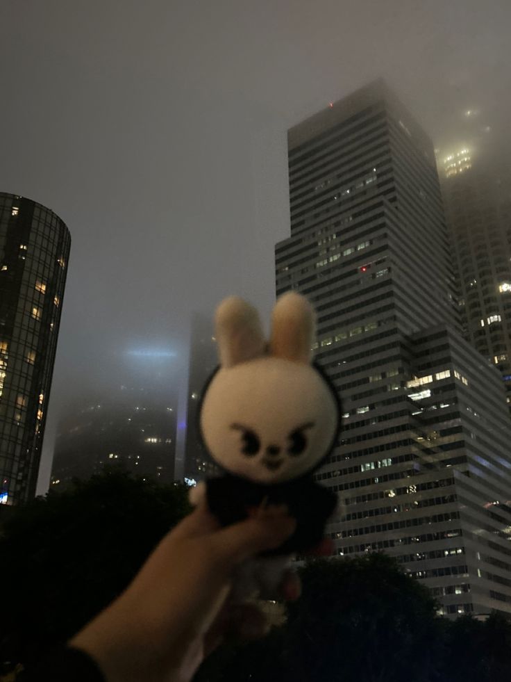 a person holding up a small stuffed animal in front of some tall buildings at night