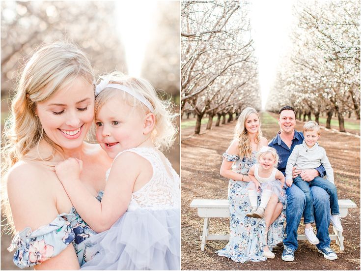 a family sitting on a bench in an orchard with blossom trees and blossoms around them