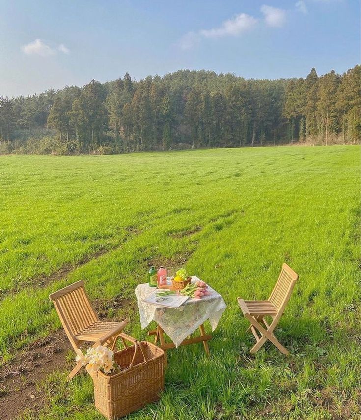 two chairs and a table in the middle of a field