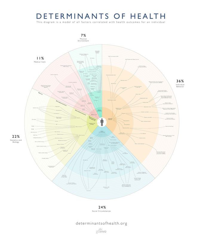 a circular diagram with the words deterants of health written in different colors and numbers