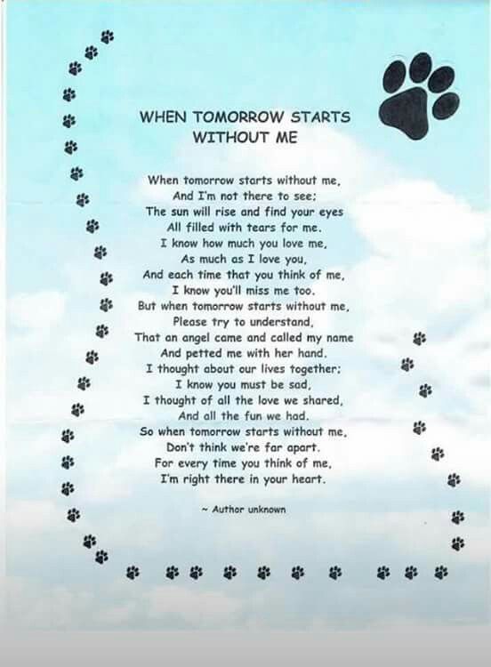 a poem written in the sky with paw prints