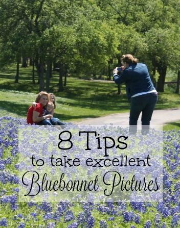 bluebonnet pictures with the text 8 tips to take excellent bluebonnet pictures