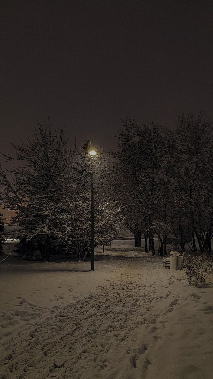 a street light in the middle of a snow covered park at night with trees and bushes all around