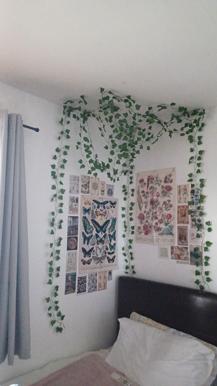 a bedroom with ivy growing on the wall and pictures hanging up to it's ceiling