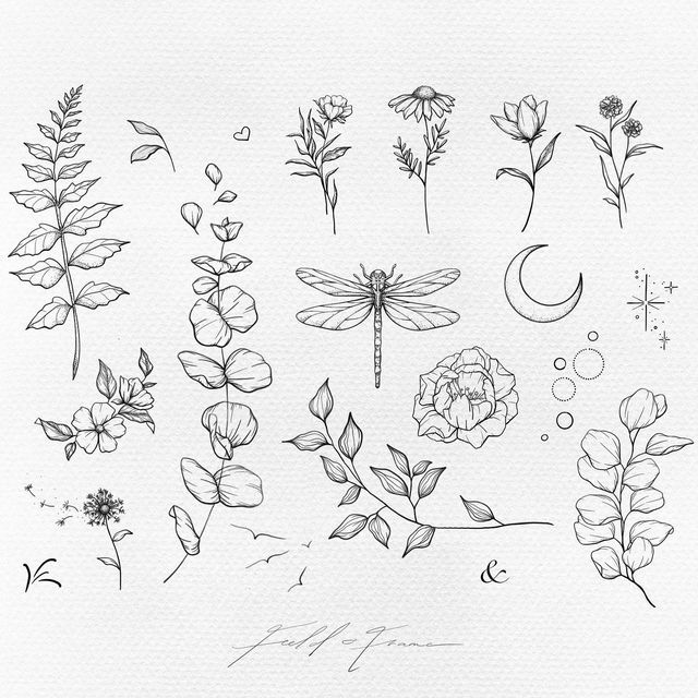 some flowers and dragonflies are drawn in pencil on white paper with watermarks