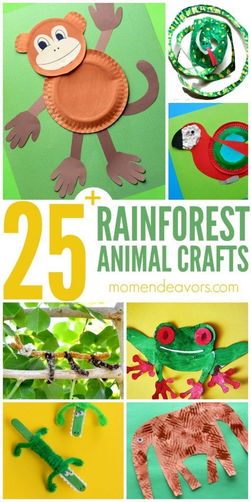 25 rainforest animal crafts for kids that are fun and easy to make with paper plates