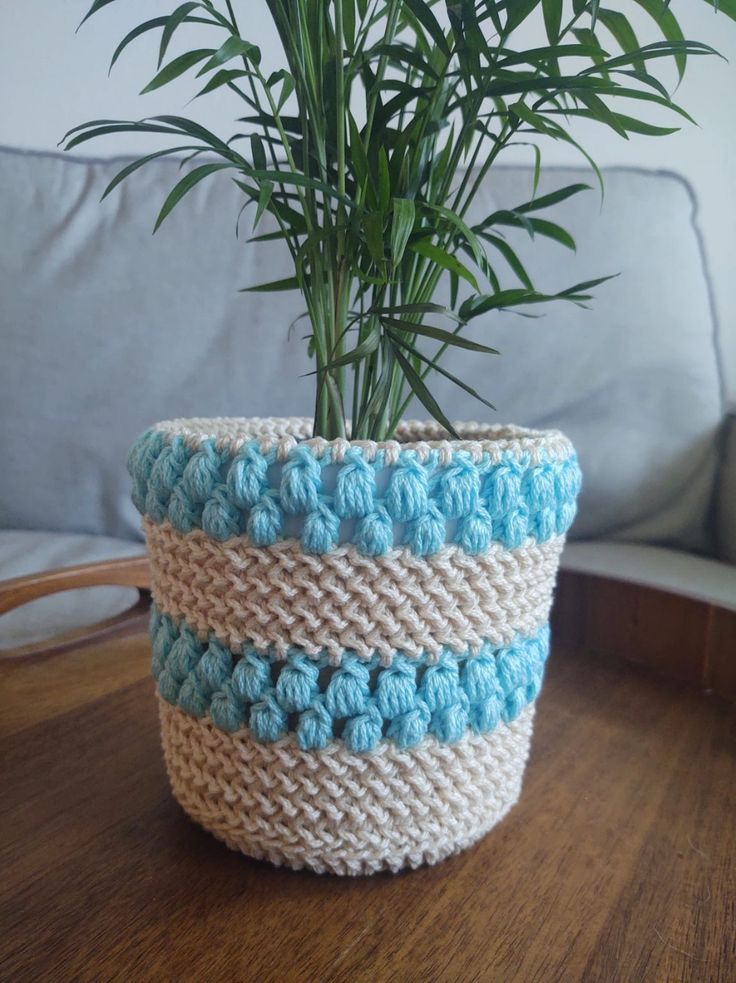 a potted plant sitting on top of a wooden table next to a blue couch