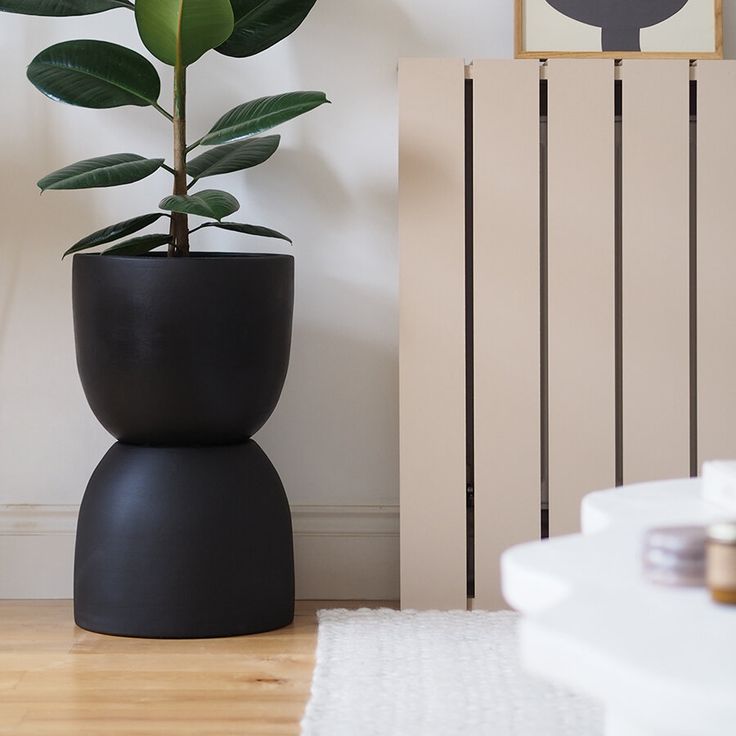 a potted plant sitting on top of a black stand next to a white rug