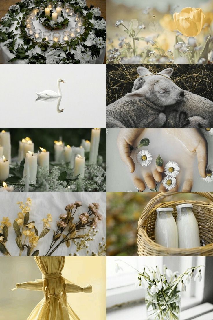 a collage of photos with candles and flowers in the middle one has a bird on it