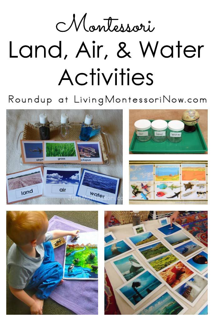 montessoi land, air and water activities for kids to do with their toddlers