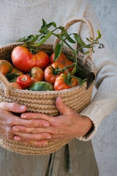 a person holding a basket filled with lots of tomatoes and other vegetables in their hands