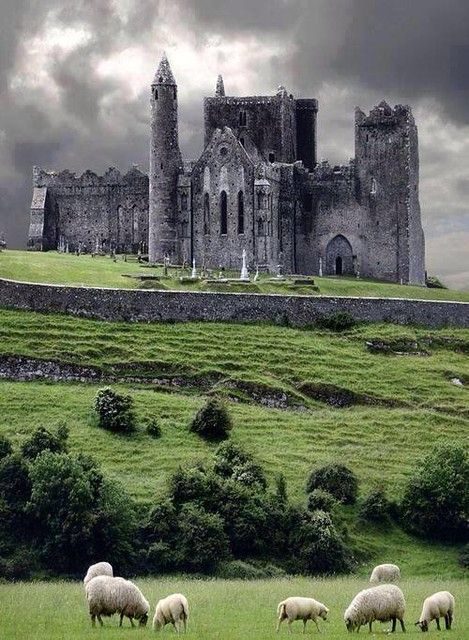 sheep graze in front of an old castle on a cloudy day with dark clouds overhead