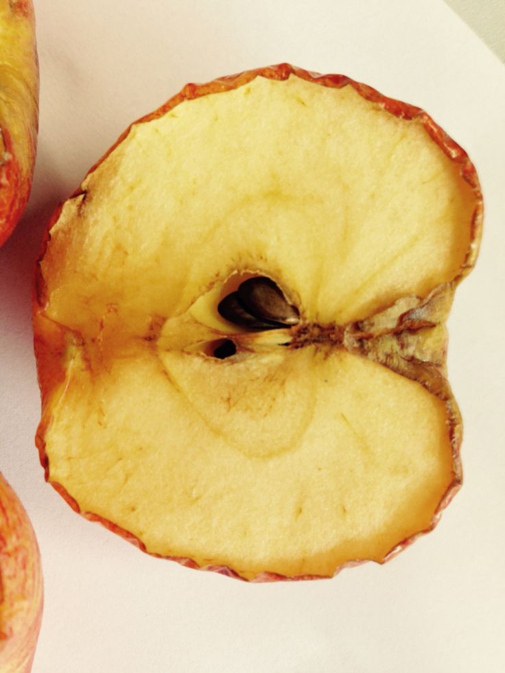 an apple sliced in half on a white surface