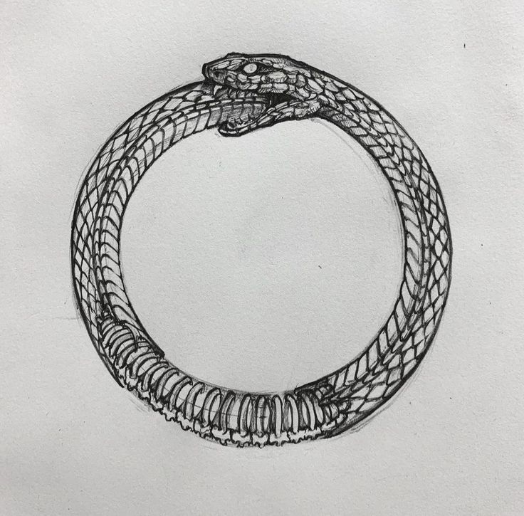 a drawing of a snake wrapped around a circle