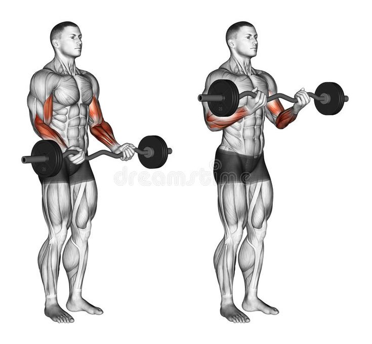 an image of a man doing exercises with dumbbells