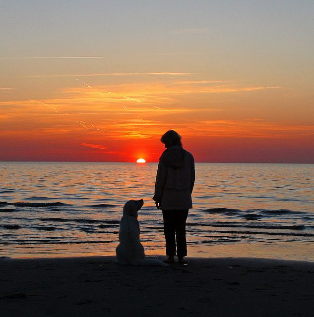 a person standing next to a dog on a beach near the ocean at sunset or dawn