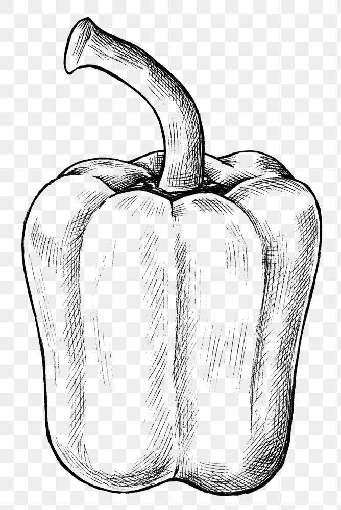 a black and white drawing of a pepper on a transparent background, with clipping