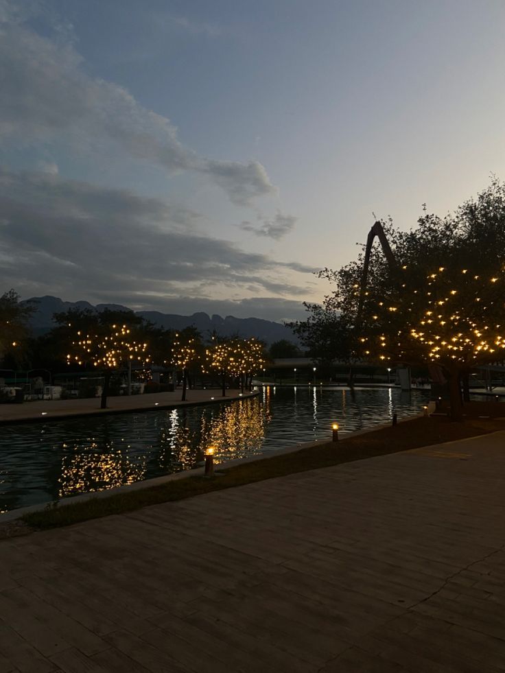 the trees are lit up at night by the water's edge with lights on them