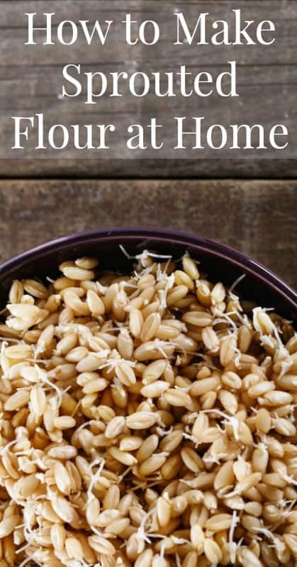 how to make sprouted flour at home in a bowl on a wooden table