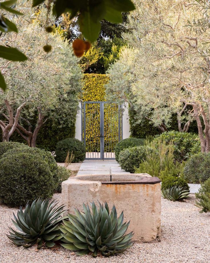 an outdoor garden with lots of plants and trees