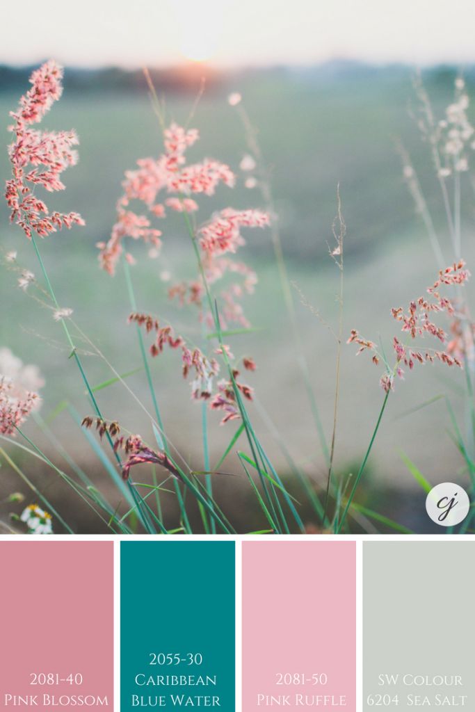 some pink and green color palettes are in the middle of a field with grass