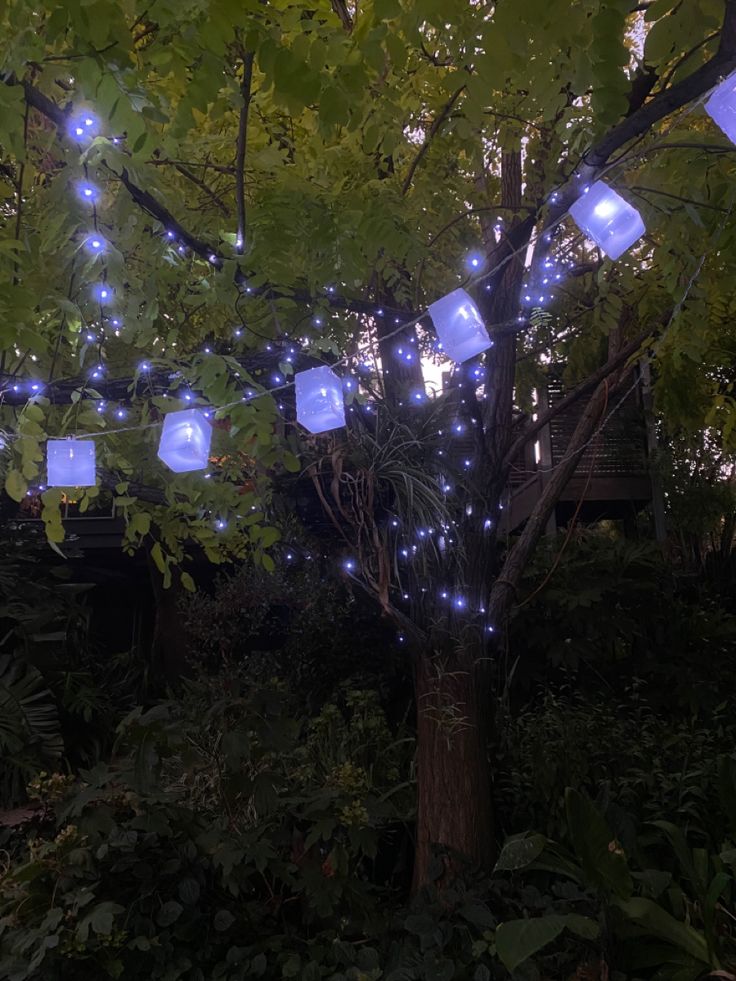 blue lanterns are hanging from the branches of a tree in a garden at night time