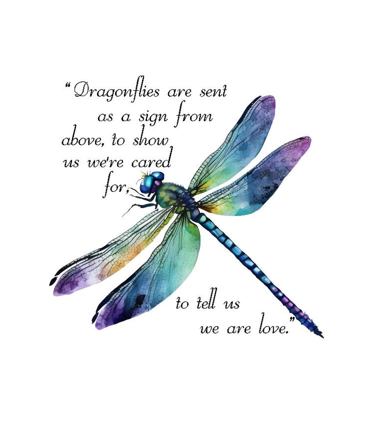 a watercolor drawing of a dragonfly with a quote from the book,'dragonflies are sent as a sign from above, to show us where cared for all we are love