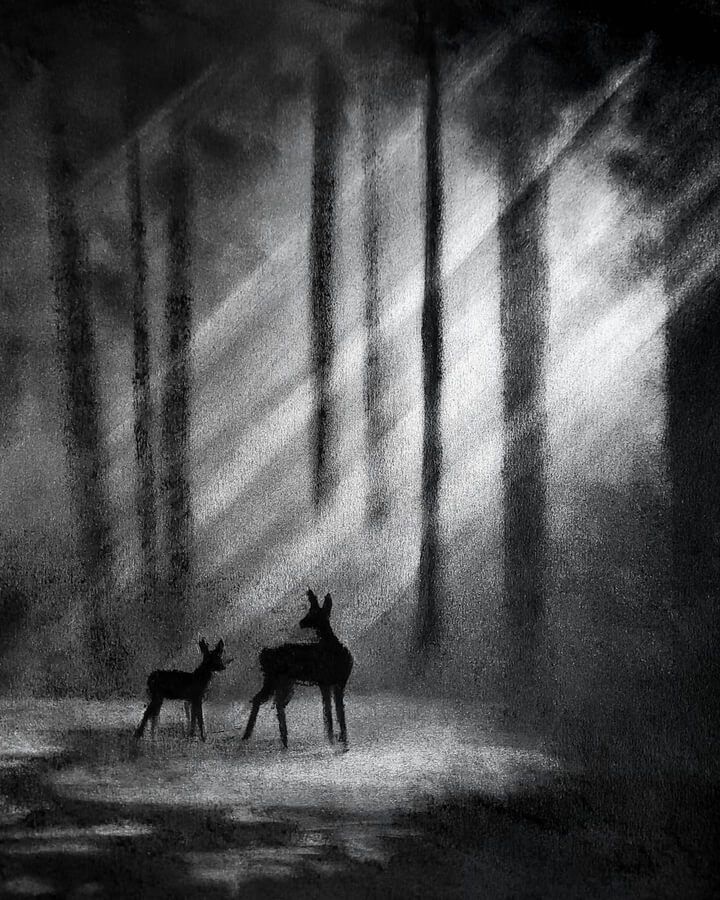 nighttime animal charcoal drawing Charcoal Art Scenery, Charcoal Ghost Drawing, Scary Charcoal Art, Charcoal Fantasy Art, Art Inspiration Charcoal, Charcoal Nature Art, Scenery Charcoal Drawing, Graphite Pencil Drawings Landscapes, Charcoal Canvas Art