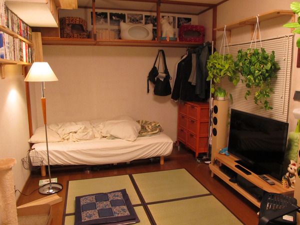 a living room with a bed, television and plants on the shelves in it's corner