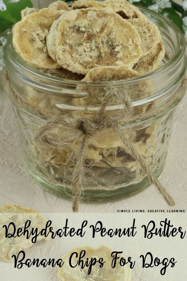 a jar filled with peanut butter banana chips for dogs