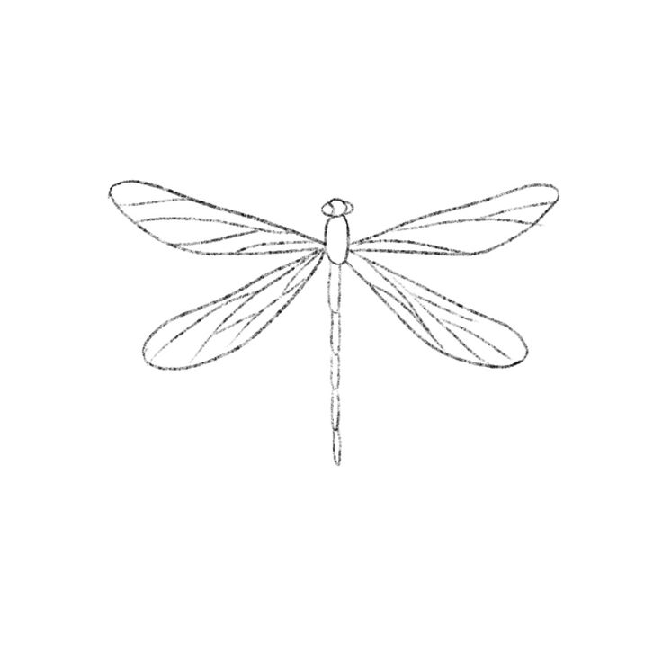 a black and white drawing of a dragonfly