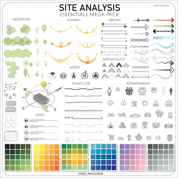 an info sheet with different types of trees and other things to see on the page