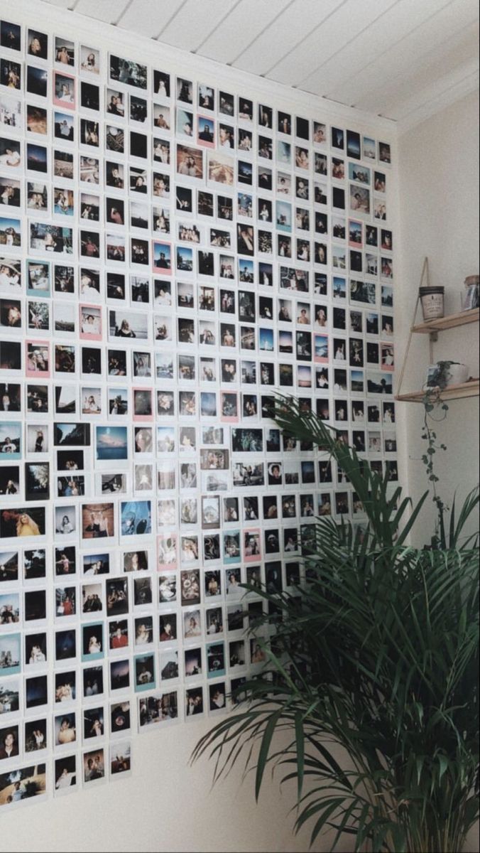 a potted plant sitting in front of a wall covered with pictures on it's side