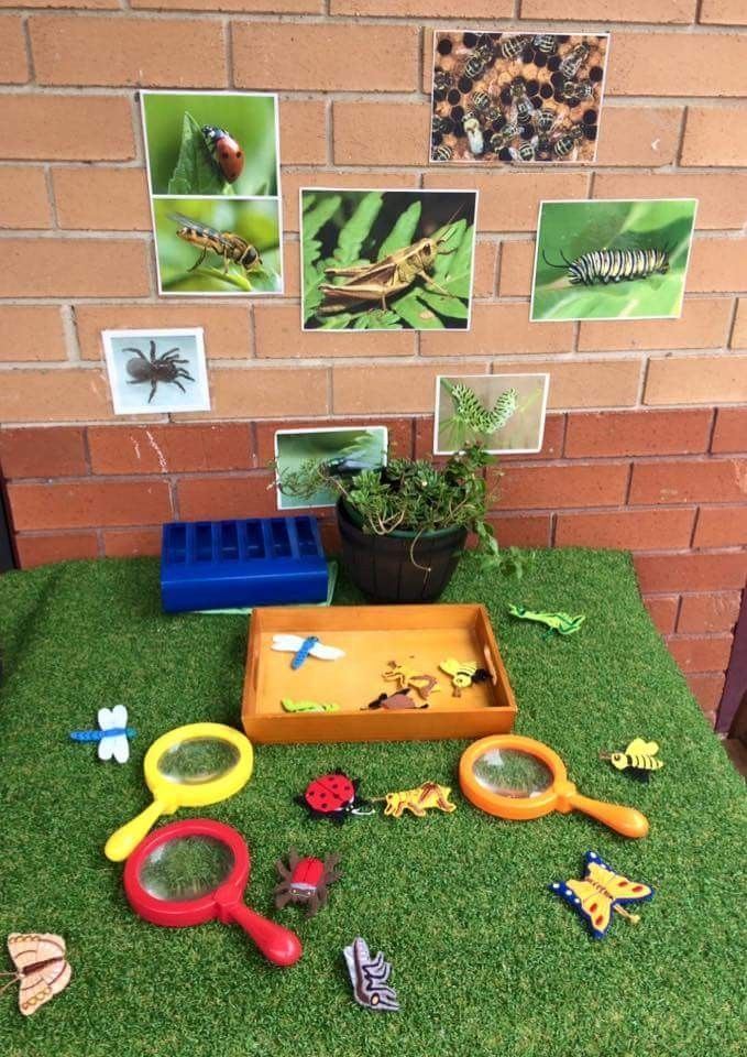 there are many toys on the grass in front of a wall with pictures and plants