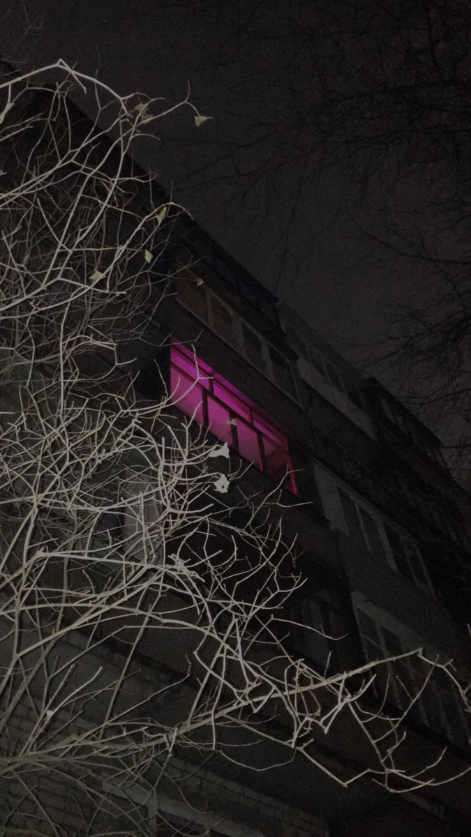 the building is lit up at night with pink lights on it's windows and branches