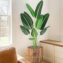 a potted plant sitting on top of a wooden table next to a brown chair