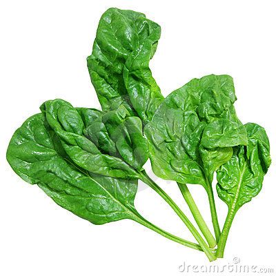 spinach leaves on a white background with clippings to the left and right