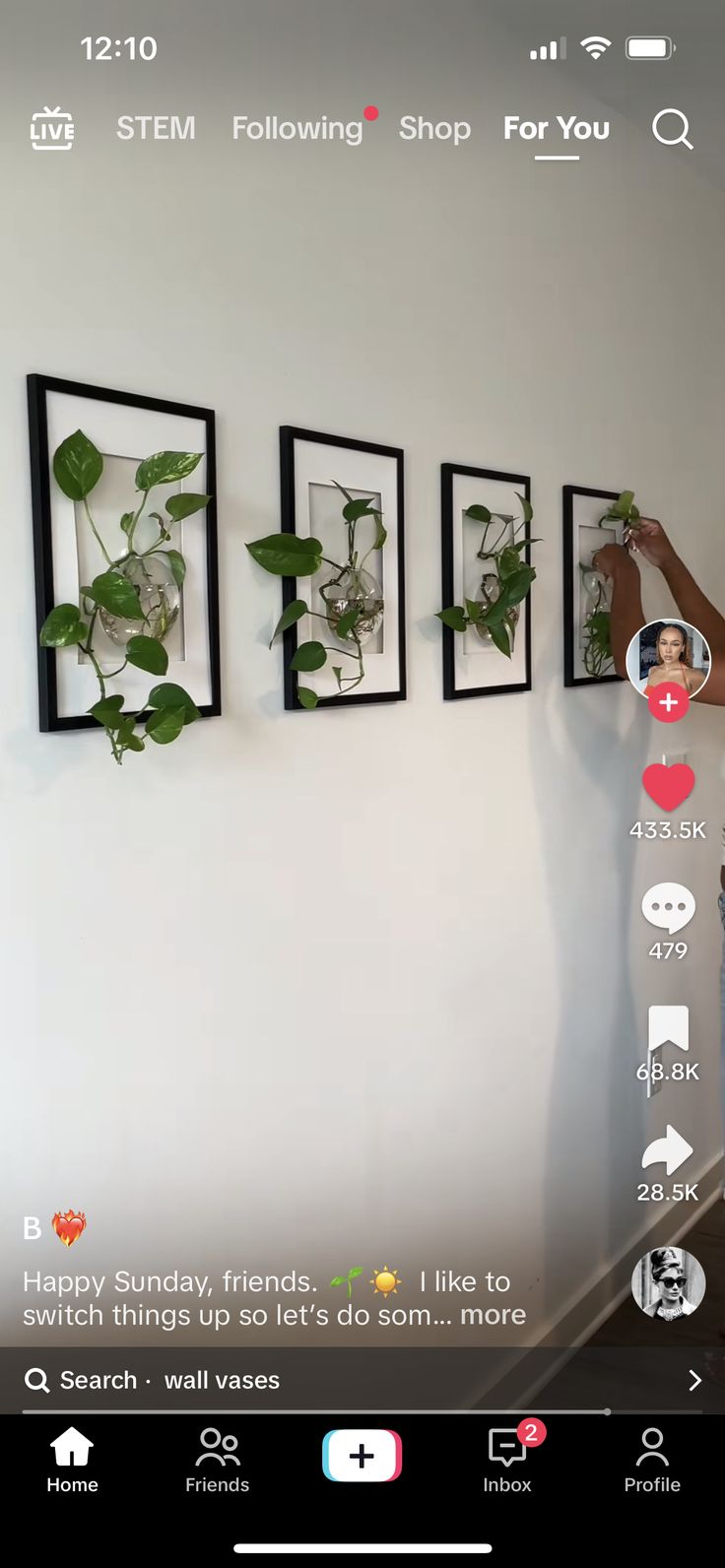 someone is taking pictures of some plants on the wall