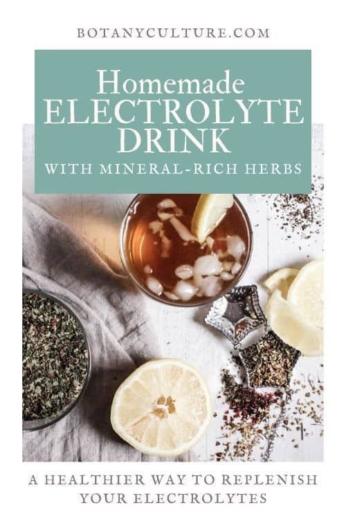 the book cover for homemade electrolyte drink with mineral - rich herbs and lemons