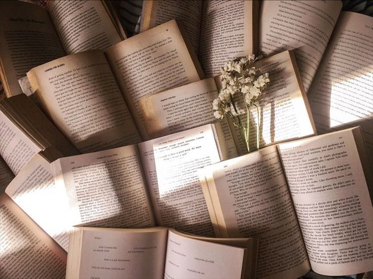 an arrangement of open books with flowers in the middle